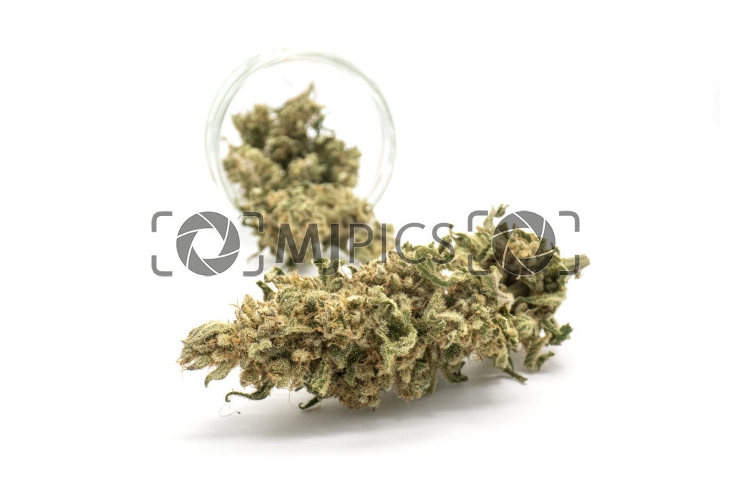 Strawberry Cough 10001199