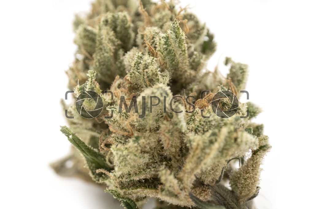 Strawberry Cough 10001202