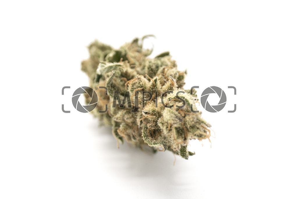 Strawberry Cough 10001203